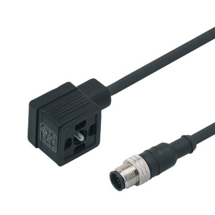 ifm electronic Мужской 1-проводной прямой к Женскому 1-проводному разъему клапана кабелю привода/датчика, 0.6 м